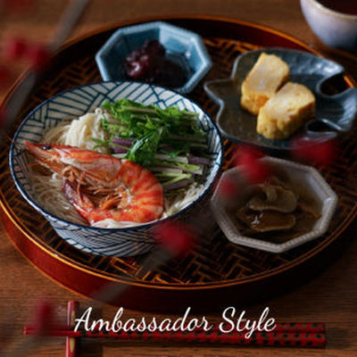 Set of 5 Mino Ware Japanese Traditional Desinged Noodle Bowl