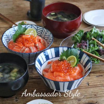 Set of 5 Mino Ware Japanese Traditional Desinged Noodle Bowl
