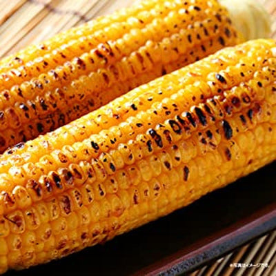 Yakiimo Maker Sweet Potato Bincho Charcoal Plate