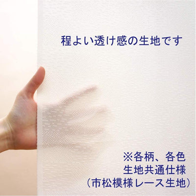 NOREN Japanese Doorway Curtain Aka Fuji (Red Fuji) Hokusai Katsushika Blue 150 x 85cm