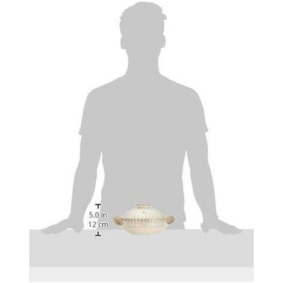 NAGATANIEN IGA Donabe Clay Pot Personal Size 20.5cm 1-2 People 