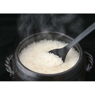 Banko Ware Donabe Rice Pot 5-Go Iga Style