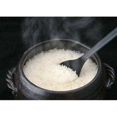 Banko Ware Donabe Rice Pot 3-Go iga Style